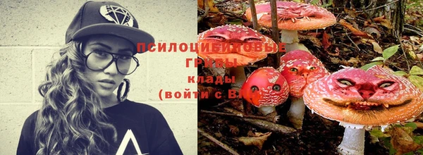 крисы Сафоново